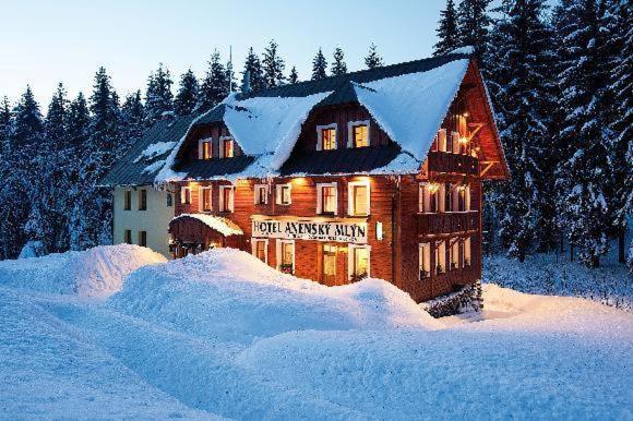 Hotel Anensky Mlyn Říčky المظهر الخارجي الصورة